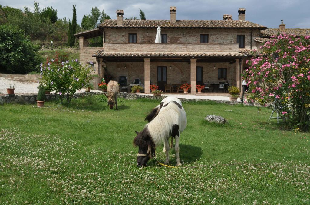 Farm Stay Il Carro Del Colle Collevalenza Eksteriør bilde