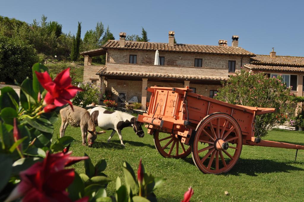 Farm Stay Il Carro Del Colle Collevalenza Eksteriør bilde